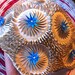 1960s Spiky Flower Swim Cap by Fashy