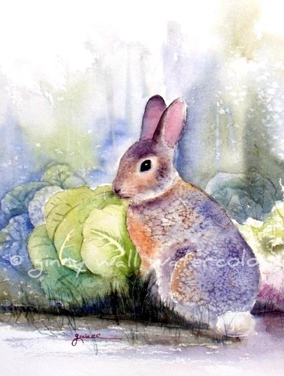 cabbage patch rabbit