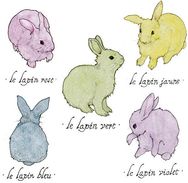 Lapins Colorés (Colorful Rabbits) Archival Print Set
