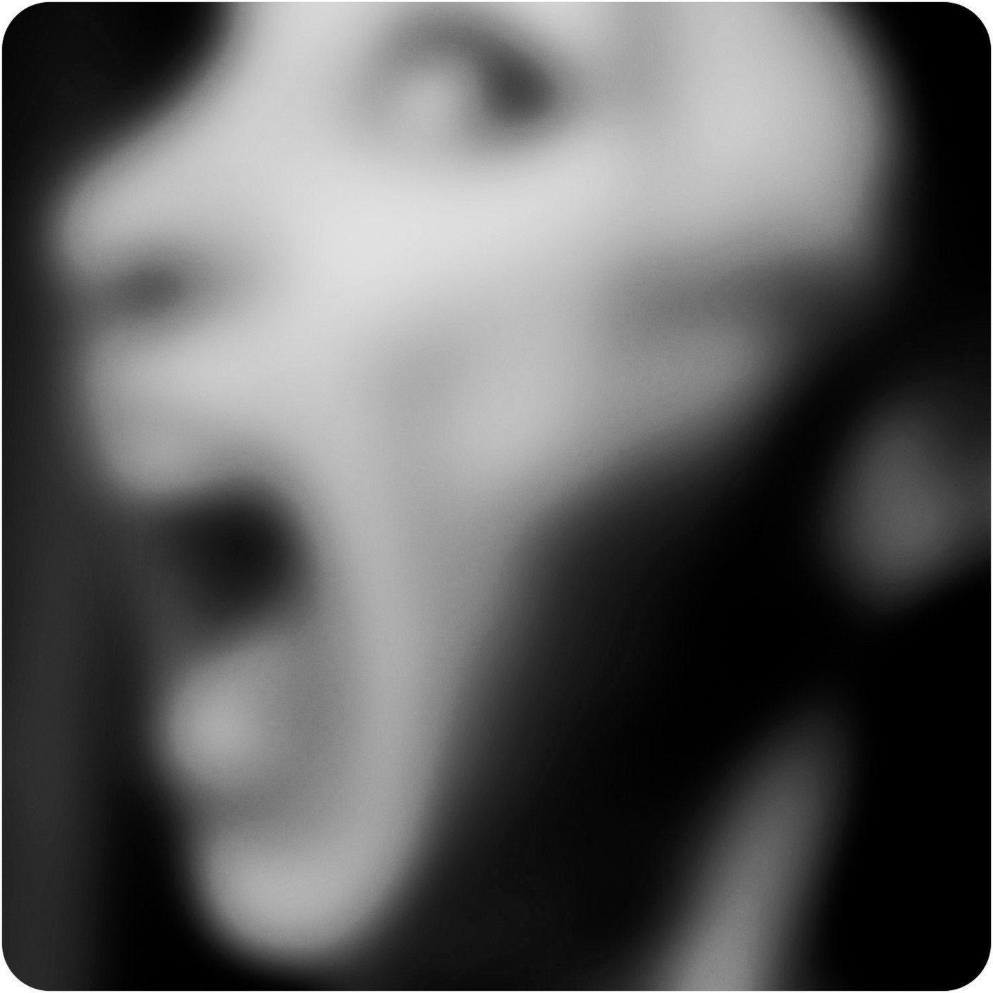 Black and White Mixed Media Photograph