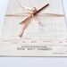 Vintage Ledger Paper 1960s English Cash Book 12 Sheets