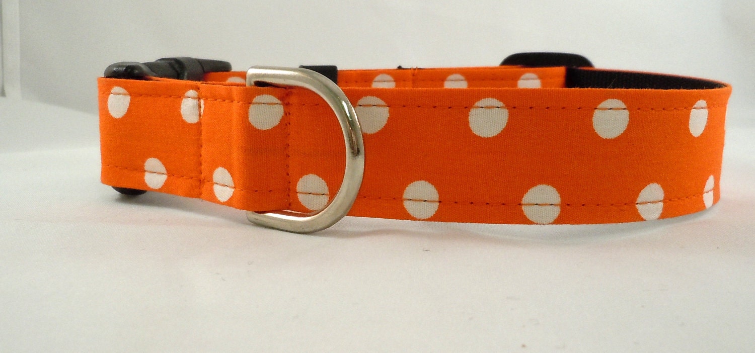 Dog Collar - Dog, Martingale or Cat Collar - All Sizes - Ta Dot in Orange
