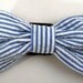 Dog Collar - Dog, Martingale or Cat Collar - All Sizes - Blue Seersucker