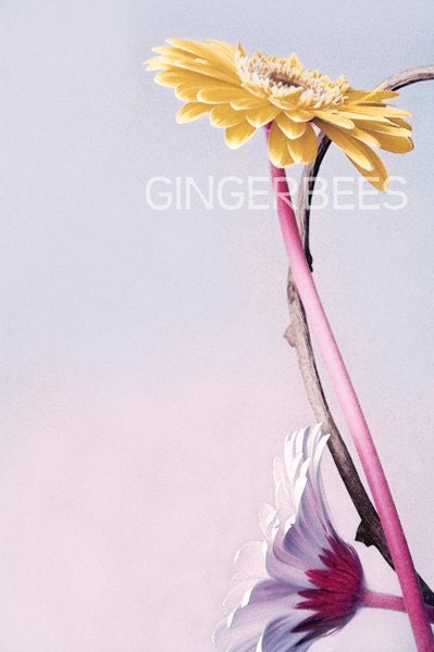 Giclee print of photographic art 9.8"x6.5"
