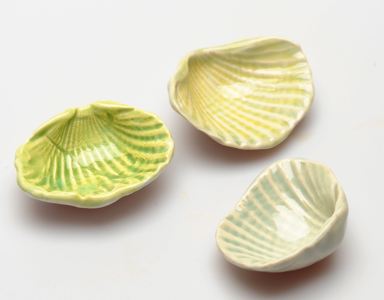 Seashell bowls