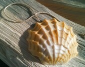 SHELL Soap on a Rope - Lemongrass Essential Oil - Great For Birthday Gifts, Guest Bathroom, Wedding Favors, Mothers Day