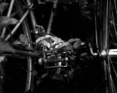 Pedal of Life - Traditional Fine Art Photography