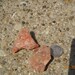 Sunstone crystal stones orange Cinnamon fire rare