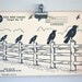 vintage paper shooting target: crow