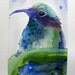Hummingbird Original Watercolor Painting Bird Art