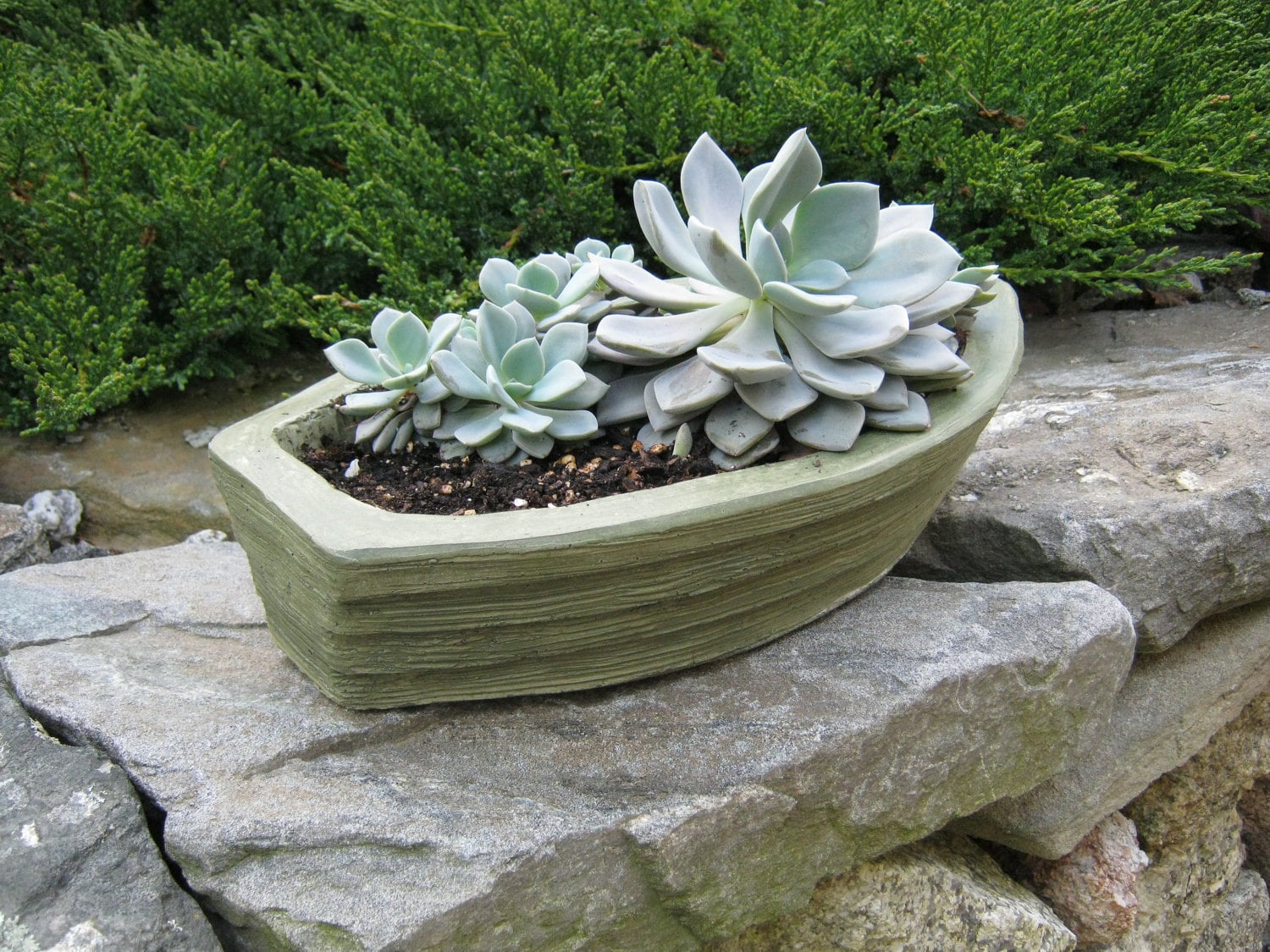 Boat Planter Concrete Willow Green by WestWindHomeGarden on Etsy