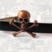 Tie Clip Steampunk Skull and Crossbones Vintage Style Copper Gothic Skull Tieclip Neck Tie Bar Accent