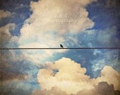 Bird Photo. Bird on Wire. "Cloudy Vintage Afternoon" Clouds. Blue Sky. Texture. vintage. for the home. white. silver. bird
