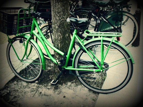 Green Bicycle in Amsterdam, 8x10 Fine Art Photograph, tree, street scene, urban, city