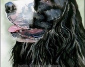 SPRINGER SPANIEL Dog 15x11 Signed Giclee Watercolor Print
