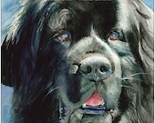 NEWFOUNDLAND Newfie Dog 15x11 Watercolor Giclee Print