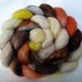 Superwash BFL Combed Top - Brenda