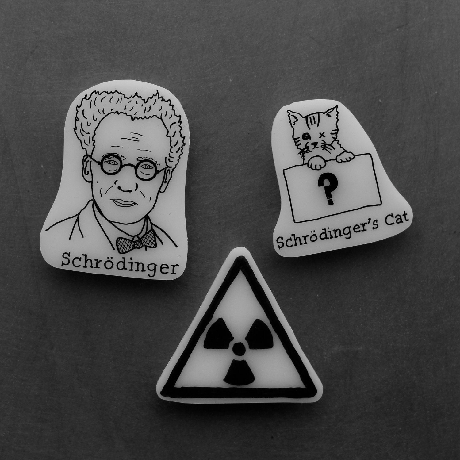 Schrodinger's Cat  Magnet Set