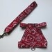 Rabbit Harness - Bandana - WITH Matching Leash