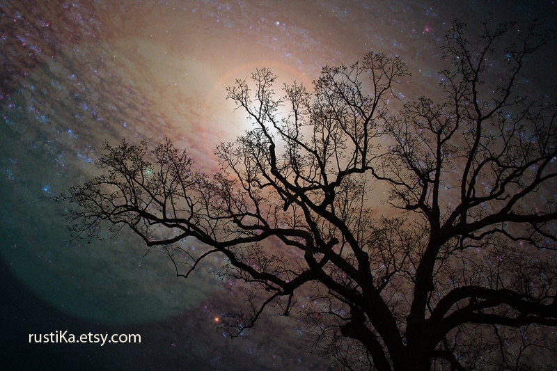 Father's day Galaxy Sky Tree Surreal Photography - A Galaxy of Possibilities 8x12