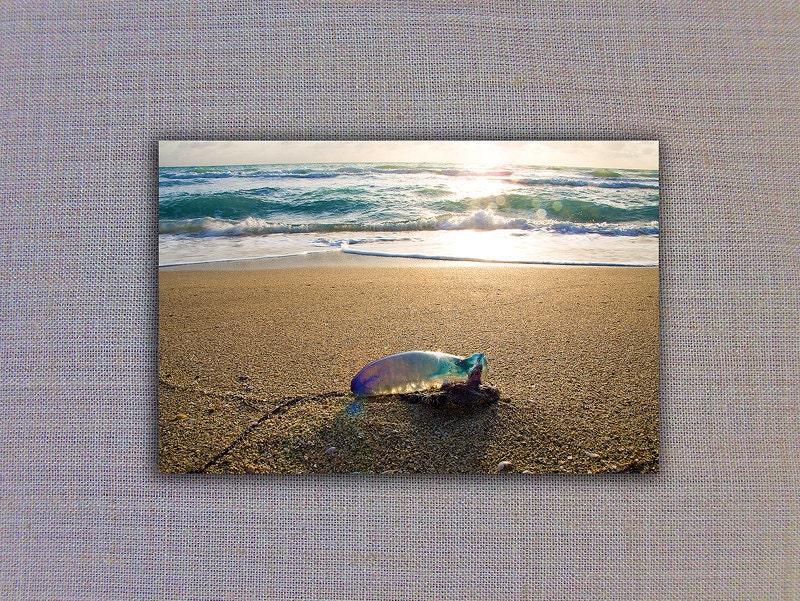 Ocean Beach Side Home Decoration Fine Art Landscape Photography IN STOCK
