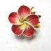 Red Ring Floral Sweet Hibiscus Ring