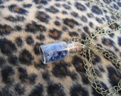 Lapis Lazul filled pendant