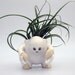 Creature Pot (Planter)