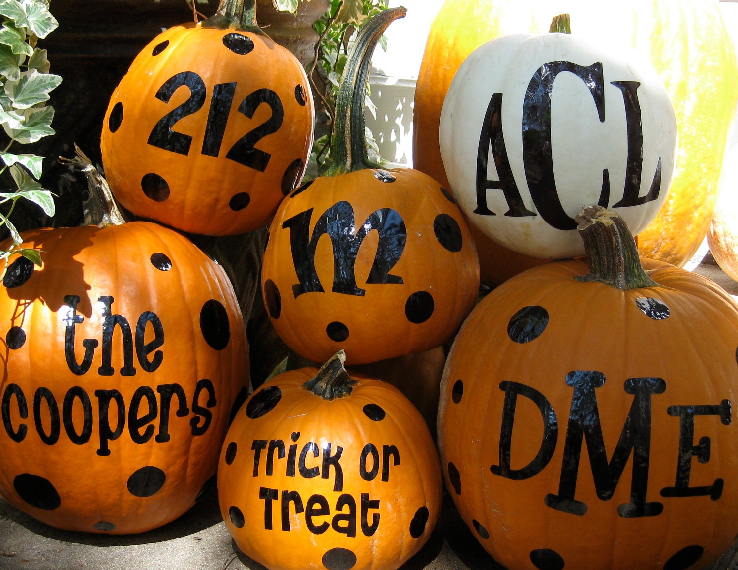 Halloween Pumpkin Monograms