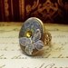 Steampunk Ring (R29-4) - Victorian Design - Brass - Silver Butterfly on Cameo Locket - Adujstable