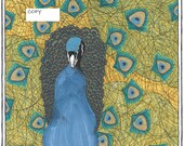 Detailed drawing of a peacock with shimmer