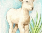 Watercolor ACEO Original  Lamb