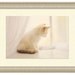 Kitten Photography, Shabby Chic Nursery Decor, Baby Animal Print, Cream & White Wall Art, Monochromatic, dreamy little girl's room art 8x12