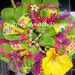 Flip Flop Summer Splash Mesh Wreath
