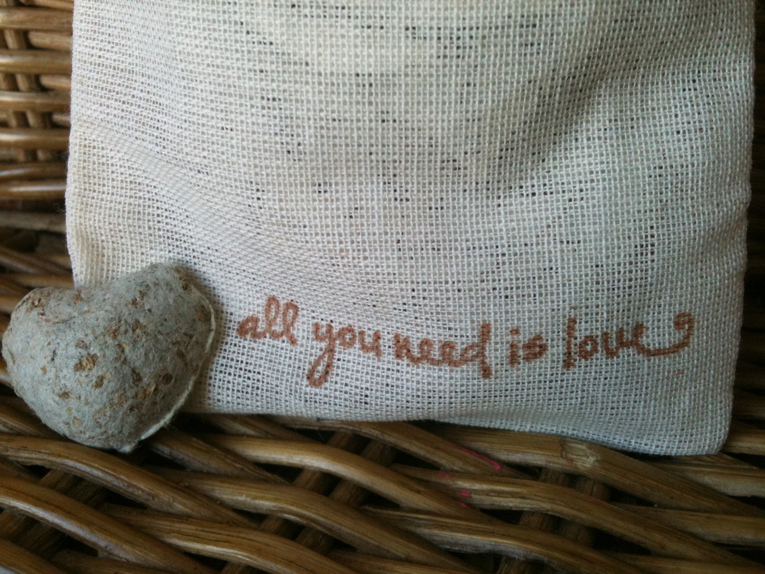 Butterfly and Hummingbird Friendly Seed Bombs of Love-North American Native