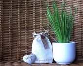 Organic Seed Bomb for Cats and Dogs- Catnip and Grasses