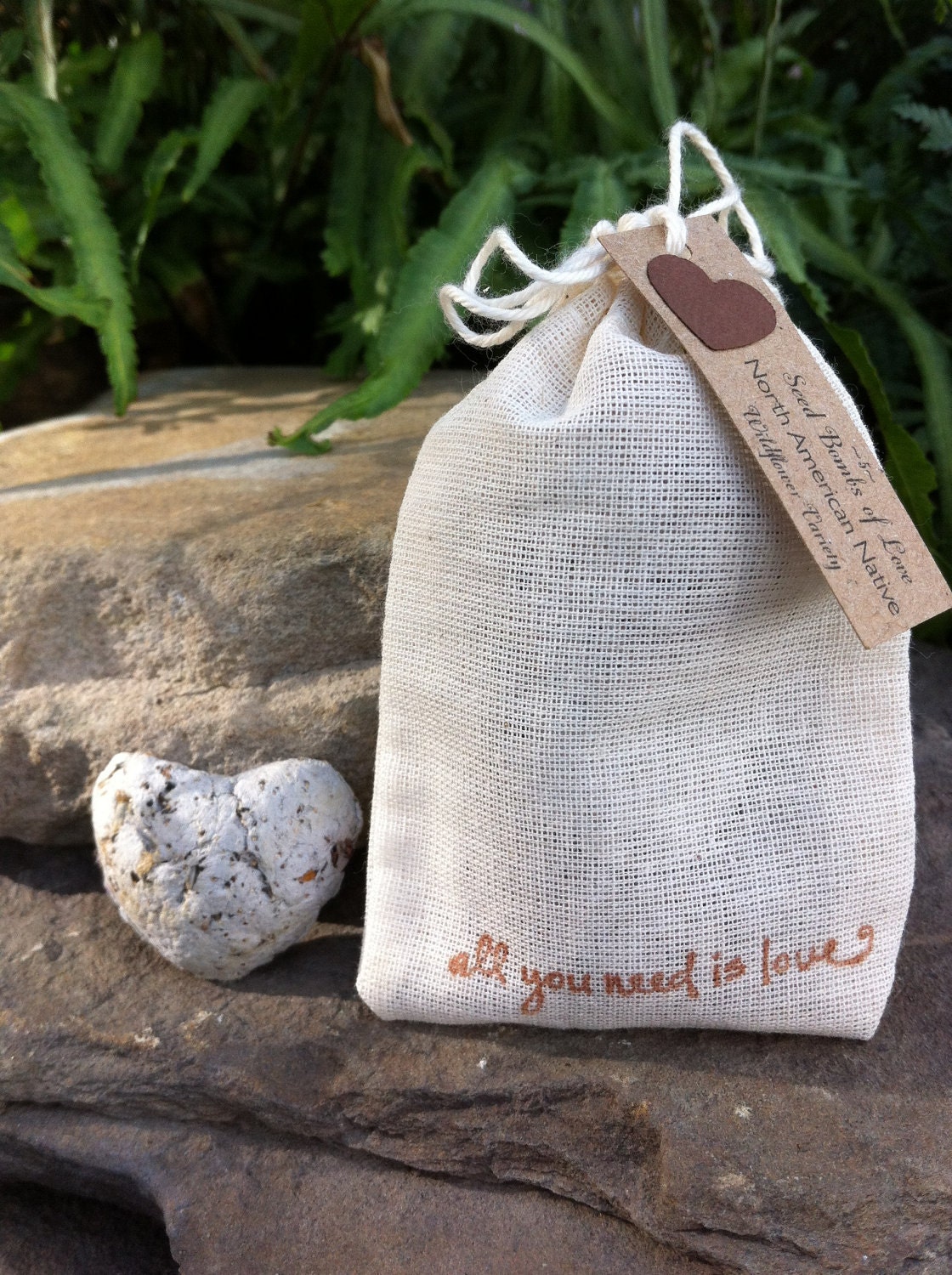 Sunflower Seed Bombs of Love-North American Native- Guerrilla Gardening