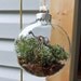 TERRARIUM, Terrarium Ornament, Woodland Ornament