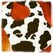 Cow Cowboy Cowgirl Baby Bib Farm Birthday Party