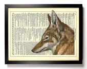 WOLF, Wild Animal, Upcycled Vintage Dictionary Book Page, 8 x 10 Print