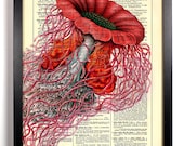 The Big Red Jellyfish 8 x 10 Dictionary Book Print Upcycled Book Art Upcycled Vintage Book Print Antique Dictionary Buy 2 Get 1 FREE