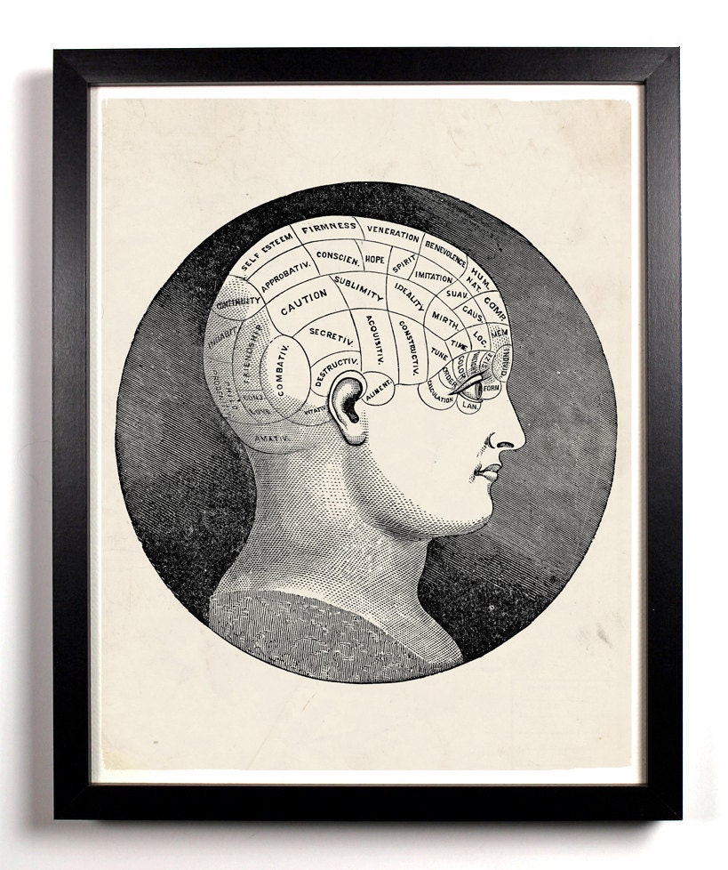 The Parts Of The Brain Anatomy Antique Illustration  8 x 10 Giclee Art Print Upcled Collage Recycled Book Art Buy 2 Get 1 FREE