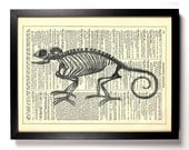 Chameleon Skeleton Anatomy Repurposed Book Upcycled Dictionary Art Vintage Book Print Recycled Vintage Dictionary Page Buy 2 Get 1 FREE