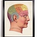The Phrenology Antique Illustration  8 x 10 Giclee Art Print Upcled Collage Recycled Book Art Buy 2 Get 1 FREE