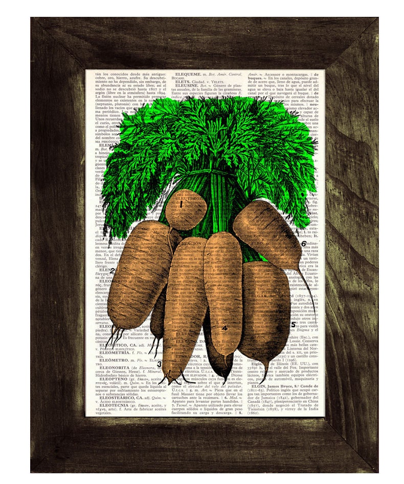 Carrots Illustration Print on Vintage Dictionary Book page