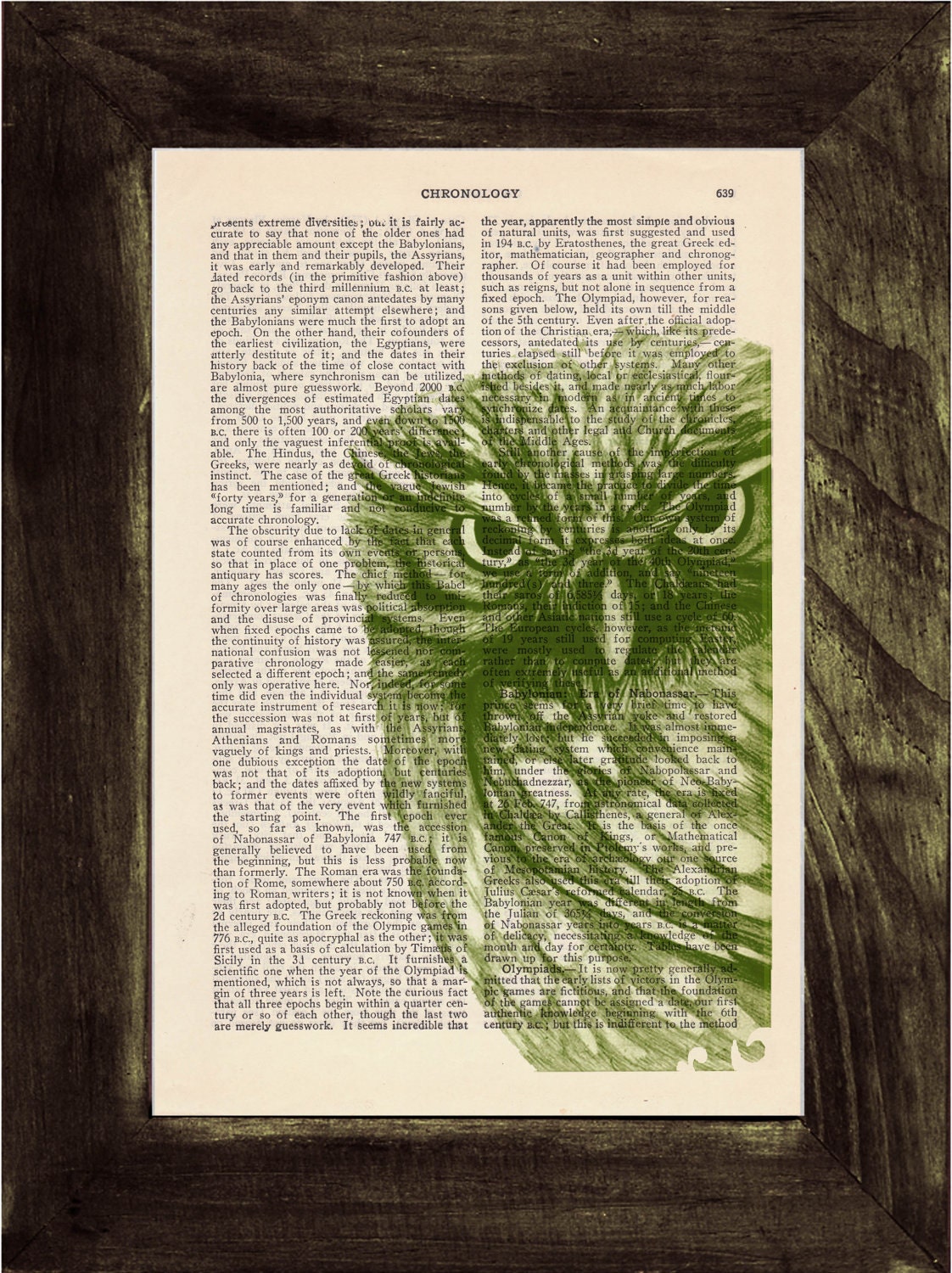 Owl Dictionary page book art print Green Owl Print by PRRINT
