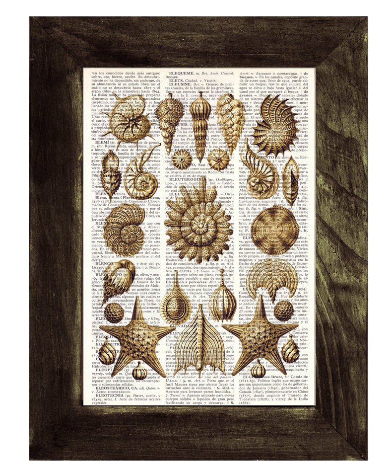 Book Print Dictionary or Encyclopedia Page Print- Book print Set Collage Shell Original  Vintage Design Print on Old Book art