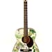 Acoustic Guitar Modified "Fern Immersion" Altered, Playable Art Instrument