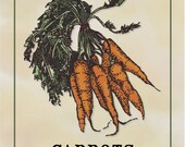 Carrots, Orange, Garden, Vintage Print 8" x 10"  Giclee Art Print from Original Illustration