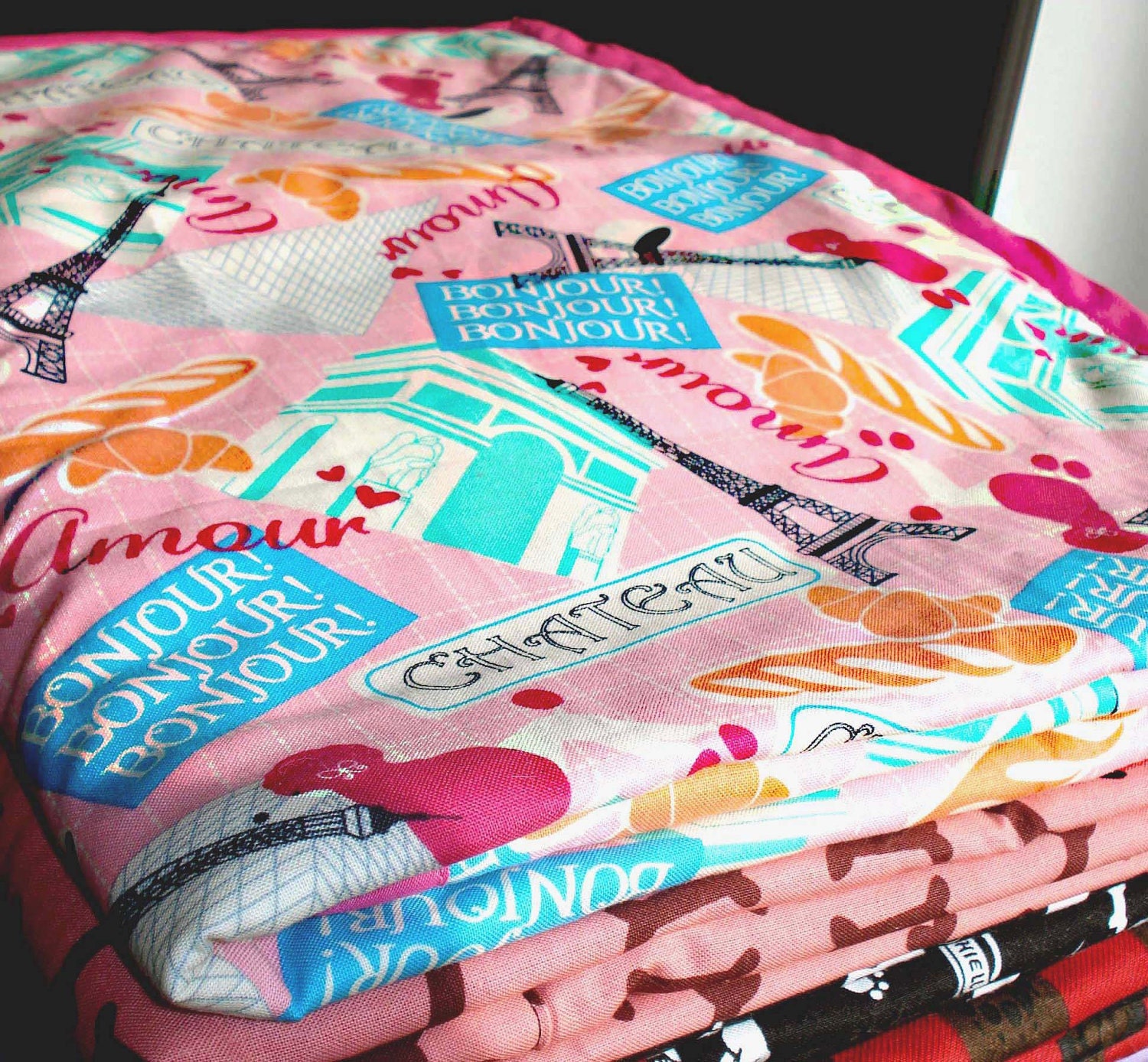Pink in Paris Cozy - Reversible Pet Blanket